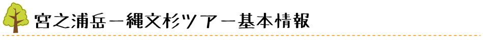 宮之浦岳ー縄文杉縦走ツアー 基本情報 ロゴ