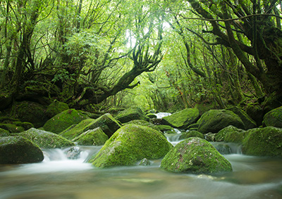 フォトトレッキング(ハイアマチュア) ツアー風景写真1